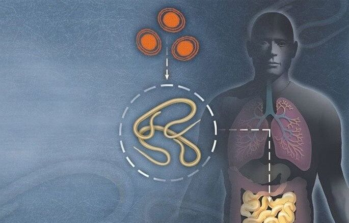 Parasites in human intestines