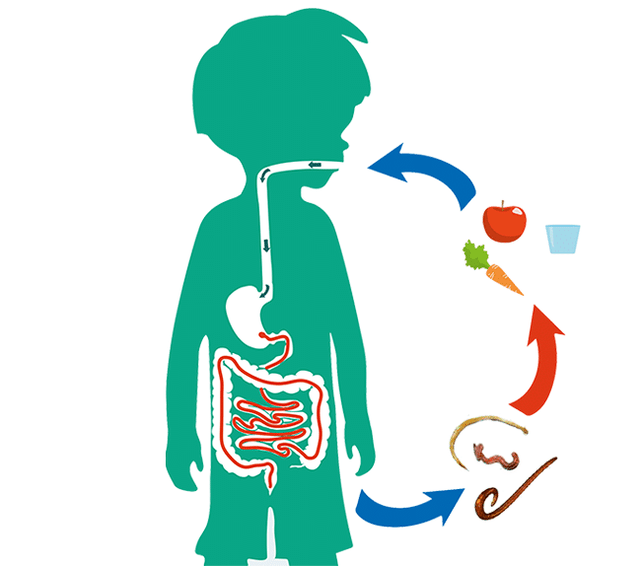 How humans become infected with parasites