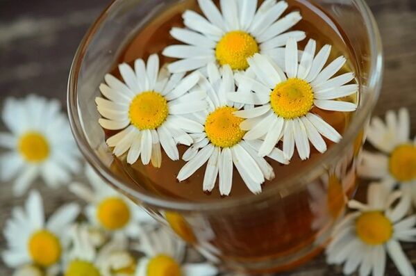 Chamomile-based medicinal infusion fights internal parasites